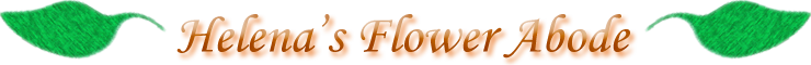 Site banner.